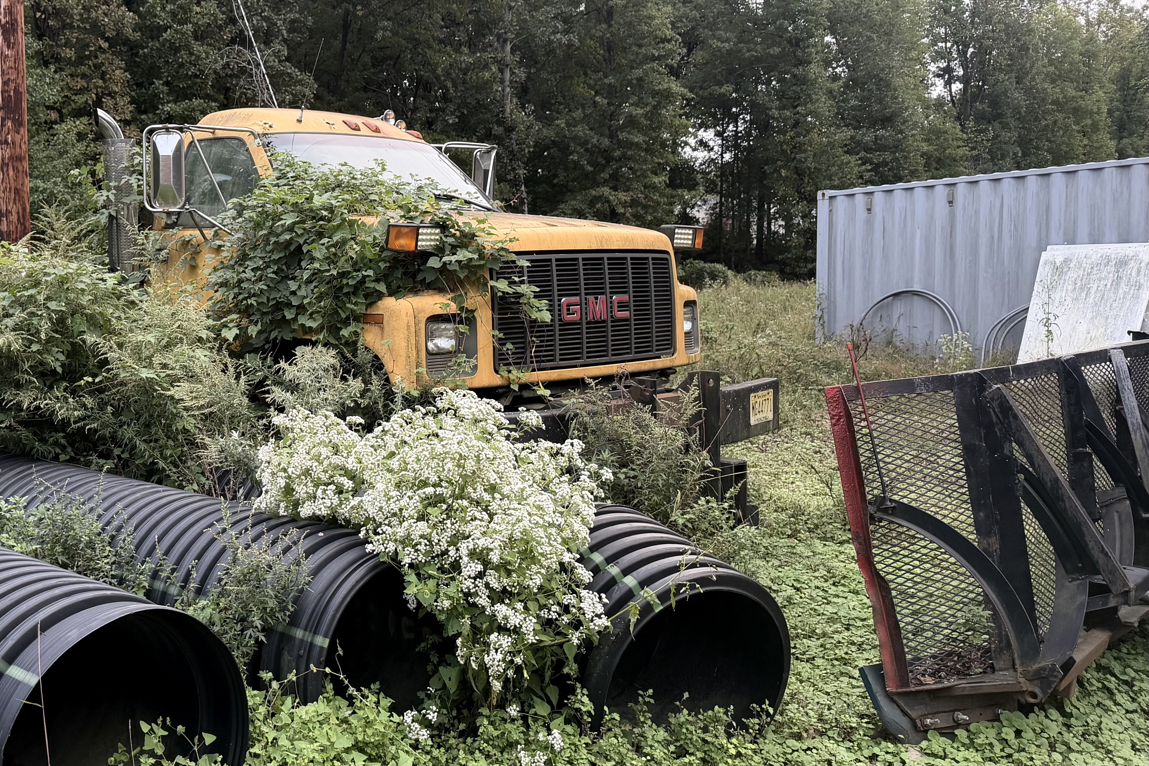 A decaying truck and pipes, dumped at our Swim Club.