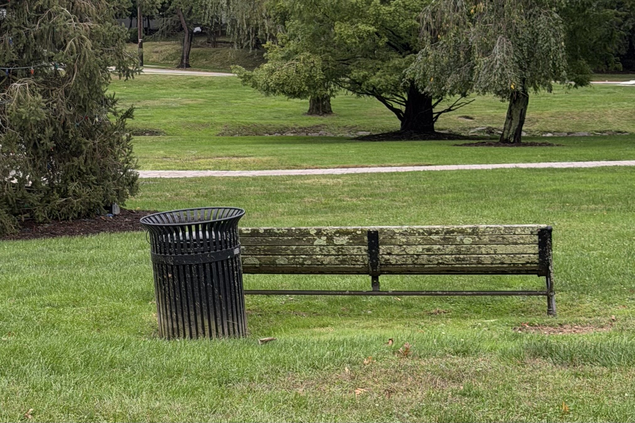 Our best public park deserves more than moss-covered benches. 